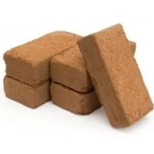 Coco Block