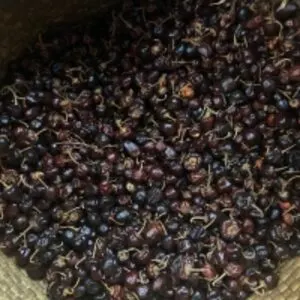 Traditional Mundu Chilli