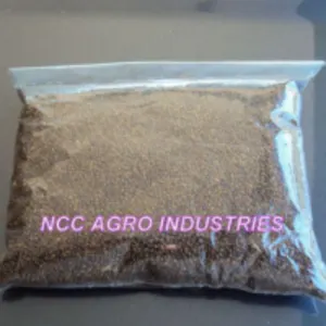 Indigofera Tinctoria Seeds - Indigo Seeds
