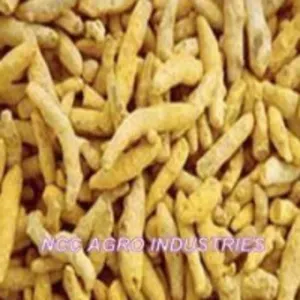 Turmeric Finger