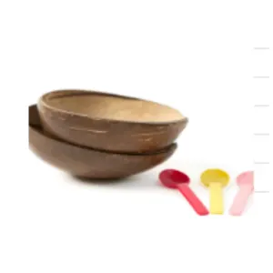 Coconut Shell - Polished