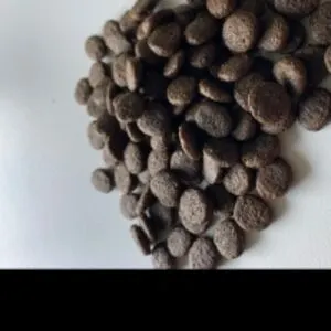 Dog Food