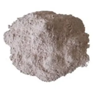 Bleaching Earth