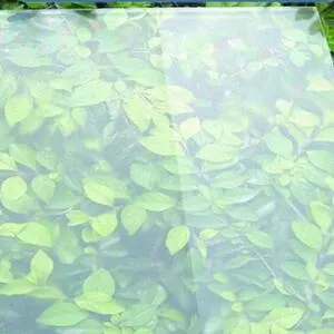 Solar Glass