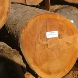 Tropical Round Logs