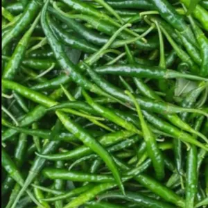 Green Chili - Image 2