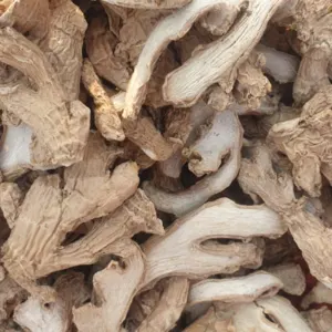 Dried Ginger