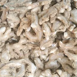 Dried Ginger - Image 2