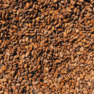 Cacao Beans - Origin: Santander - Colombia - Image 2