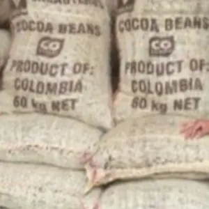 Cacao Beans - Origin: Santander - Colombia - Image 3