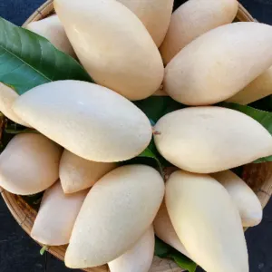 Nam Dok Mai Si Thong (Golden) Mango - Image 2