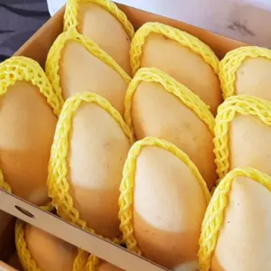 Nam Dok Mai Si Thong (Golden) Mango