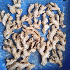 Dehydrated Ginger - Image 2