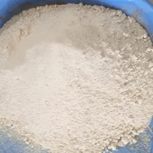 Dehydrated Ginger - Image 3