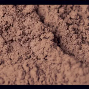 Arabica Kintamani Coffee Powder