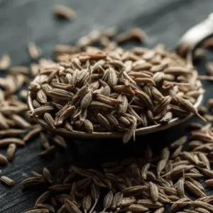 Cumin Seeds by That Broken Pen