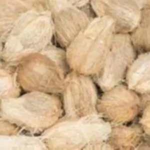 SEMI HUSK COCONUT by KASTURI COCONUT PROCESSING