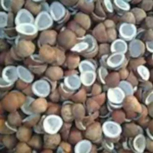 DRY COCONUT TWO HALVES