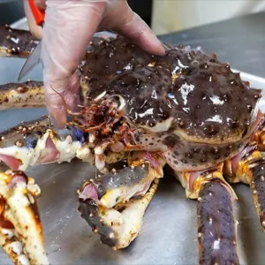 King Crab