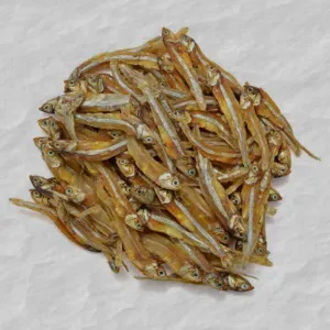 Anchovy