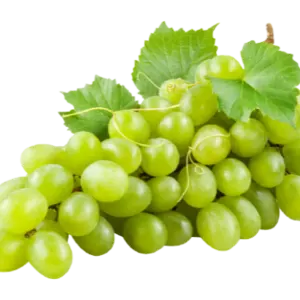 Grapes