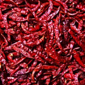Dry Red Chilli by shri mahalaxmi traders