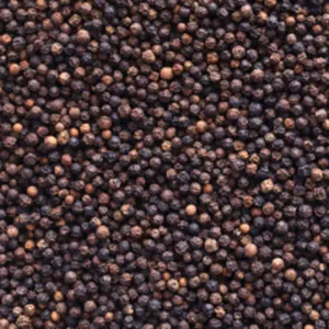 Black Pepper