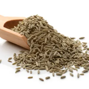 Cumin seeds by Shreeji Exports