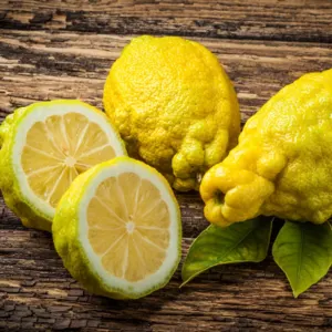 Wild lemon