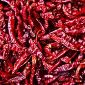Sannam Dried Red Chilli Stemless by Macroscope
