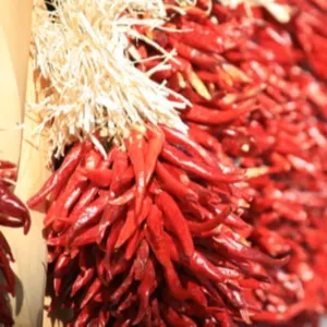 S-273 Dried Red Chili by Macroscope