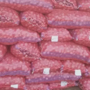Red Onion by HINDUSTAN TRADER