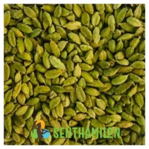 Green Cardamom (5.5-6.5mm) (6.5-7.5mm) (7.5-8mm) - Image 3