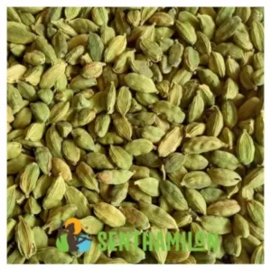 Green Cardamom (5.5-6.5mm) (6.5-7.5mm) (7.5-8mm) by Senthamilon Private Limited