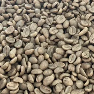 Green and Roasted Coffee Beans Colombia by Montoro Coffee LLC