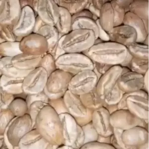 Green and Roasted Coffee Beans Tanzania by Montoro Coffee LLC