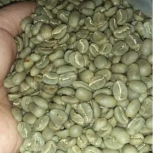 Green and Roasted Coffee Beans Sumatra by Montoro Coffee LLC