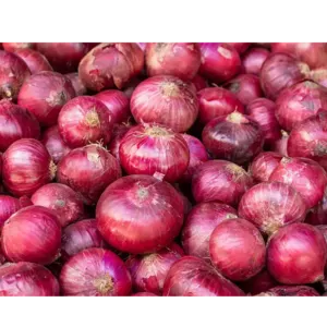 ONION by Sufi Exim Company
