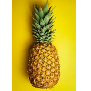 PINE APPLE