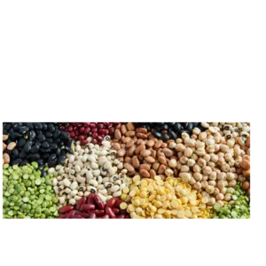 Dal Agriculture