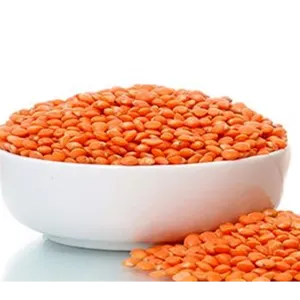 Dal Agriculture - Image 2