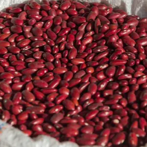 KIDNEY BEANS, BLACK BEANS, BUTTER, CHICKPEAS, COCOA, BROAD, LENTILS, LIMA, MUNG, VANILLA, SOYBEANS, VIGNA, PEAS