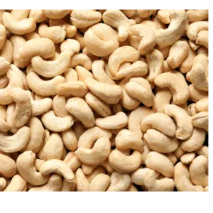 CASHEW NUT - Image 2