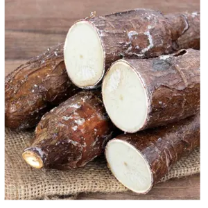CASSAVA