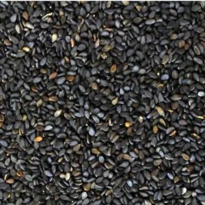 SESAME SEEDS