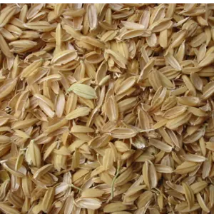 RICE HUSK