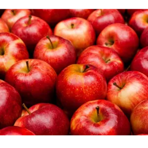 APPLES