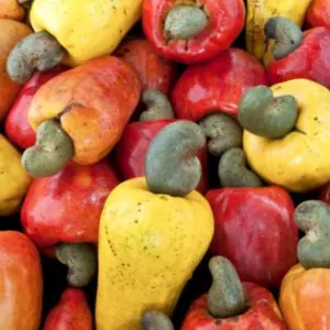 Cashew Nuts - Image 3