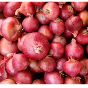 Onion by Omar-Gen LLC
