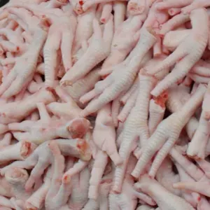 Chicken Feet & Paw